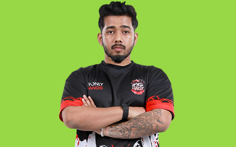 Wyld Fangs team visual